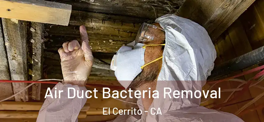 Air Duct Bacteria Removal El Cerrito - CA
