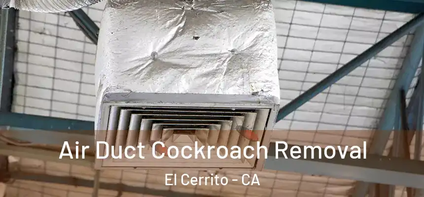  Air Duct Cockroach Removal El Cerrito - CA