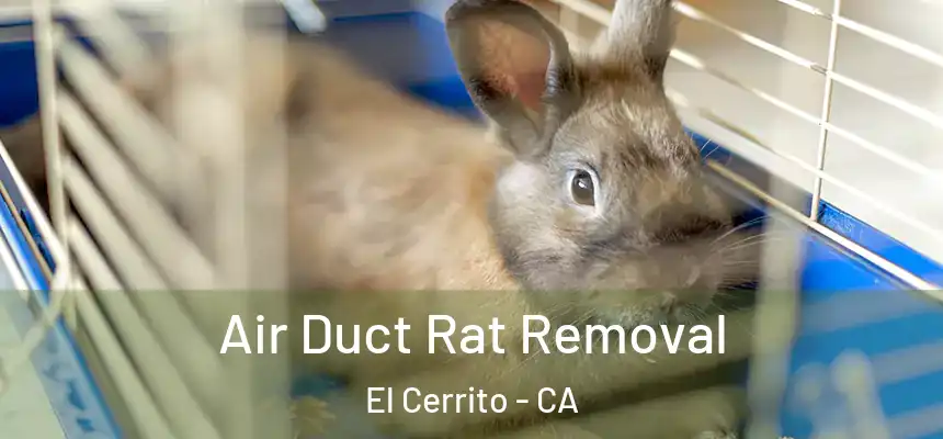  Air Duct Rat Removal El Cerrito - CA