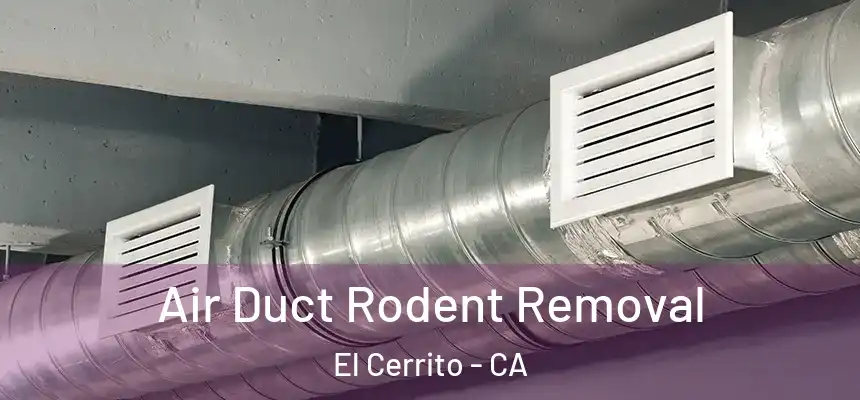  Air Duct Rodent Removal El Cerrito - CA