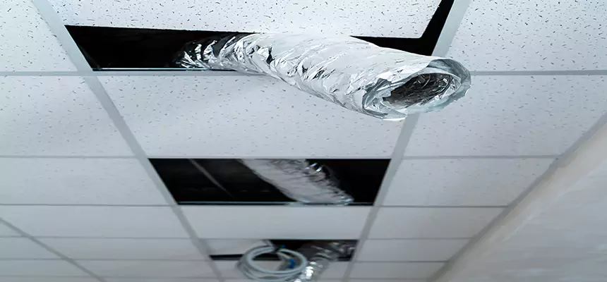 Affordable HVAC Sanitizing After Pest Removal in El Cerrito