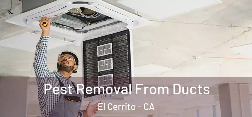 Pest Removal From Ducts El Cerrito - CA