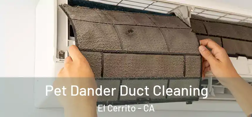  Pet Dander Duct Cleaning El Cerrito - CA