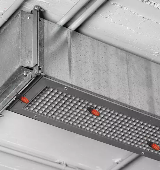 About Air Duct Cockroach Removal in El Cerrito, CA