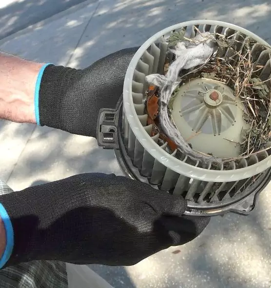 About Air Duct Rat Removal in El Cerrito, CA