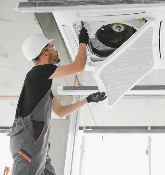 About Air Duct Rodent Removal in El Cerrito, CA