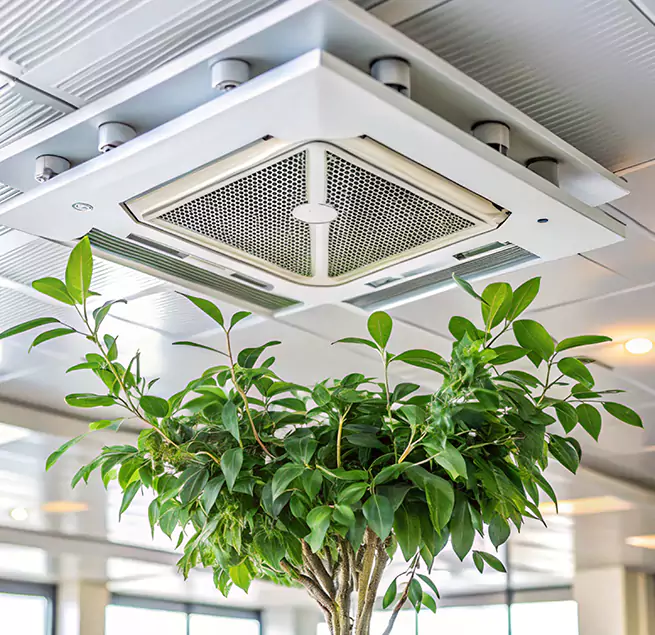 Why Homeowners & Businesses Trust Us in El Cerrito, CA