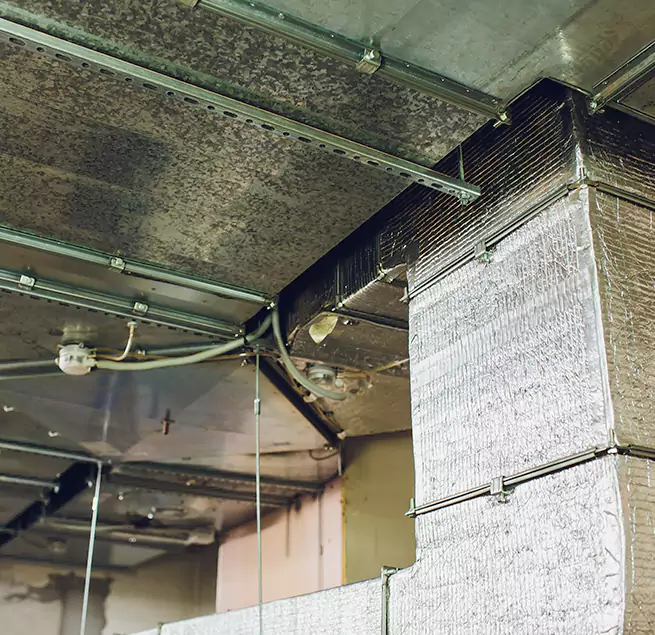 Why Homeowners & Businesses Trust Us in El Cerrito, CA?